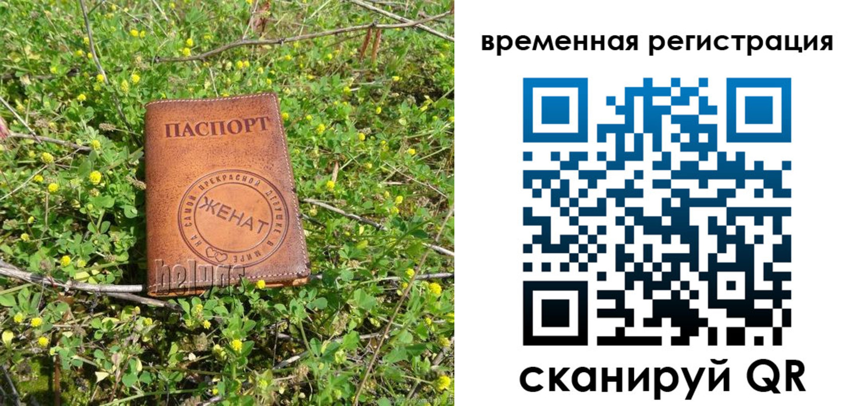 прописка регистрация в Шадринске
